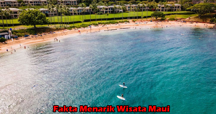 Fakta Menarik Wisata Maui