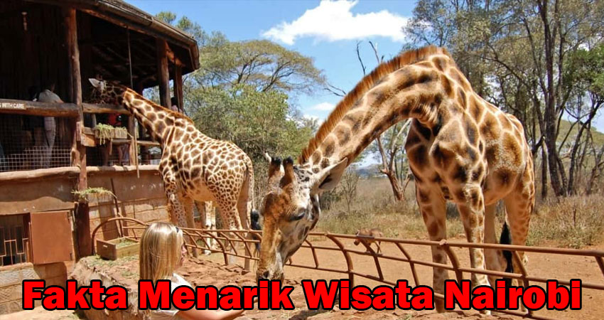 Fakta Menarik Wisata Nairobi