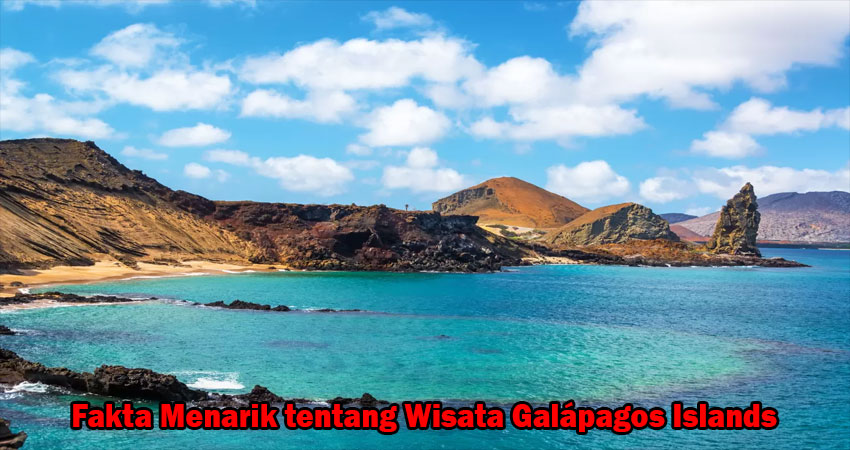 Fakta Menarik tentang Wisata Galápagos Islands